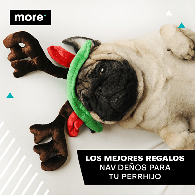 Los mejores regalos navideños para tu perrhijo